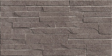 Плитка Alma Ceramica TWU2550DCV24 Discover рельефная 249x500x8
