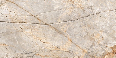 Керамогранит Neodom N80036 Silver Stream Carving 60x120