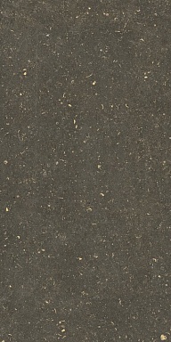 Керамогранит Casa Dolce Casa 785511 Rinascenza Arena Platino Grip 20mm 60x120