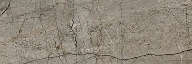Плитка Eurotile 800 Passion Dark 29.5x89.5