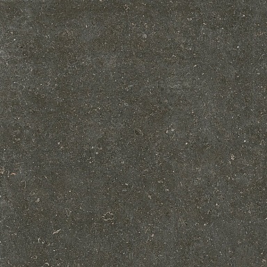 Керамогранит Casa Dolce Casa 785581 Rinascenza Arena Platino Matte 6mm 120x120
