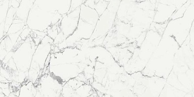 Керамогранит Rex Ceramiche 769860 Les Origines De Rex Blanc Glossy 60x120