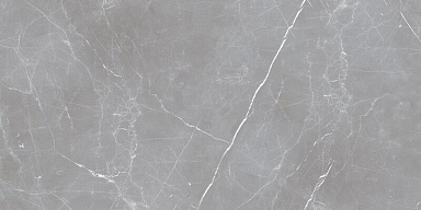 Керамогранит Ocean-Ceramic Arion Gray Dark 59.7х119.7