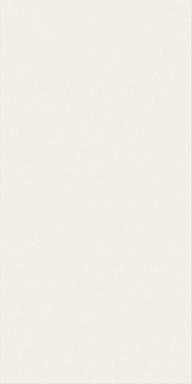 Плитка Italon 600010002159 White Mat 40x80