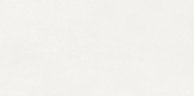 Керамогранит Neodom N110011 Aston White Matt 60x120