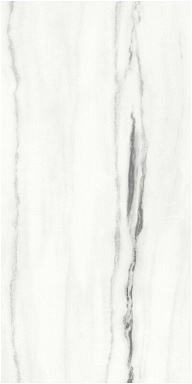 Керамогранит FMAX F918G10101 Panda White glossy 90x180