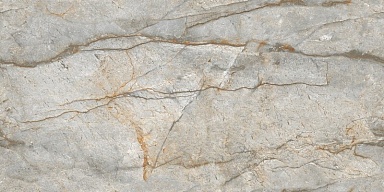 Керамогранит NT Ceramic NTT99517M Forest Carving 60x120