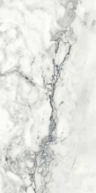 Керамогранит Imola Ceramica BRECAP6 12 RM 60x120