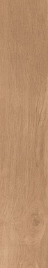 Керамогранит Artcer 1057 Torino Brown Mate 120x20