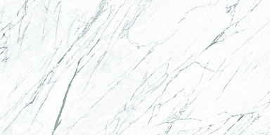 Керамогранит Roca FPK01MQ011 LM STATUARIO ST 100X200