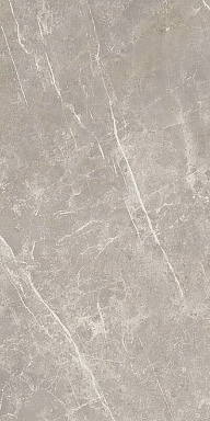 Керамогранит Cerim 766528 Elemental Grey Dolomia Luc Ret 60x120