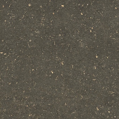 Керамогранит Casa Dolce Casa 785499 Rinascenza Arena Platino Grip 60x60