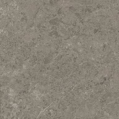 Керамогранит Atlas Concorde Italy AJIF Marvel Meraviglia Grigio Elegante Lapp. 120x120