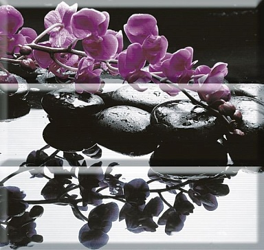 Панно Absolut Keramika Aure Composicion Wellness Purple 45x45