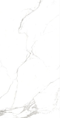 Керамогранит Arcadia Ceramica FP1039-A Statuario Fine Full Polished 60x120