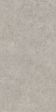 Керамогранит Kerama Marazzi SG519920R Риккарди серый светлый матовый обрезной 60х119,5