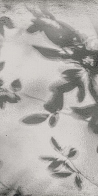 Керамогранит Flaviker PF60012582 Art Walls Shadow Nat R 60x120