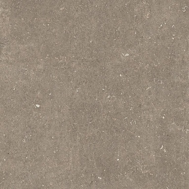 Керамогранит Casa Dolce Casa 785580 Rinascenza Arena Pietra Matte 6mm 120x120