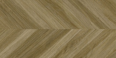 Керамогранит New Tiles Dinamarca Abedul 60x120