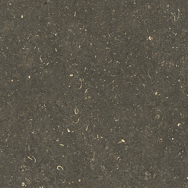 Керамогранит Casa Dolce Casa 785499 Rinascenza Arena Platino Grip 60x60