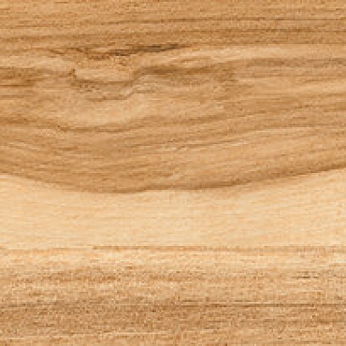 Nutwood Global Tile