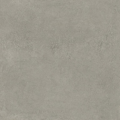 Керамогранит Атлас Конкорд Россия 610010002977 Rinascente Fusion Argilla 120x120