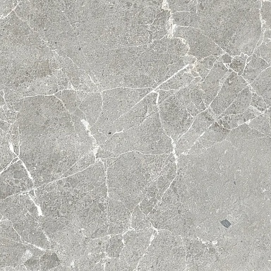 Керамогранит ProGRES Ceramica NR0388-M Гарсия Серый матовый 600x600x9.5