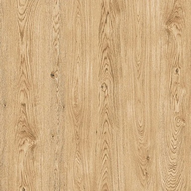 Керамогранит ProGRES Ceramica NR0395-M Керафорест Pine Коричневый светлый матовый 600x600x9.5
