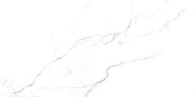 Керамогранит Laparet SG50002420R Discovery Blanco белый 60х119,5
