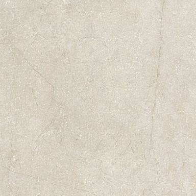 Керамогранит Cerim 778713 Stone Life Shell Matte Ret 6mm 120x120