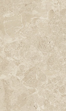 Плитка Gracia Ceramica Saloni brown 01 30*50
