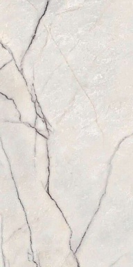Керамогранит Ariana Ceramica PF60009343 Lilac White Lapp. 3d Ret 60x120