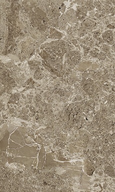 Плитка Gracia Ceramica Saloni brown 02 30*50