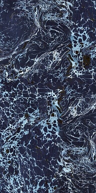 Керамогранит Cedit 763506 Araldica Base Blu Lucida R 6mm 120x240