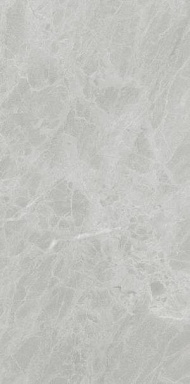 Керамогранит Ariostea P612498 Gris De Savoie Soft 60x120