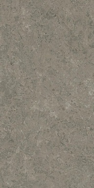 Керамогранит Atlas Concorde Italy AJIA Marvel Meraviglia Grigio Elegante Lapp. 120x240