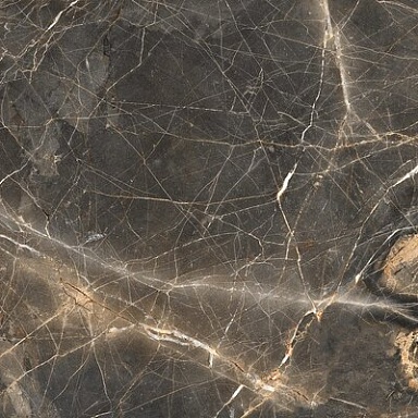 Maximus Global Tile