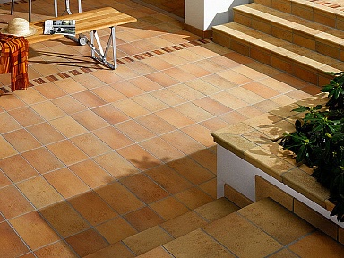Ступень Agrob Buchtal Goldline 9330 856 25x35