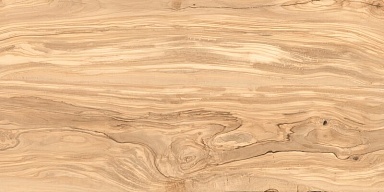 Керамогранит Casati Ceramica Alpine Natural Wood Matt 60x120