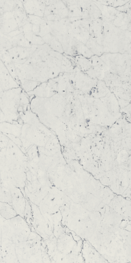 Керамогранит Italon 610015000356 Charme Extra Carrara Nat Ret 30x60