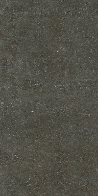 Керамогранит Casa Dolce Casa 785577 Rinascenza Arena Platino Matte 6mm 60x120