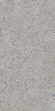 Керамогранит Kerama Marazzi DD590600R Про Лаймстоун АТ серый натуральный обрезной R10 119,5х238,5