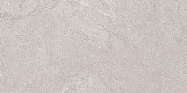 Керамогранит Neodom N20555 Aristo Grey Tm 60x120