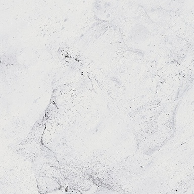 Керамогранит Gracia Ceramica Inverno white 01 60х60