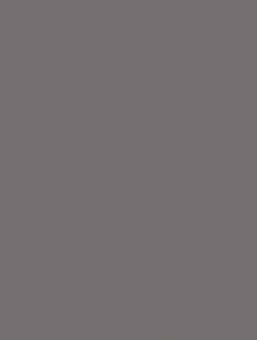 Плитка RAKO WAAKB111 CONCEPT Dark grey 25x33