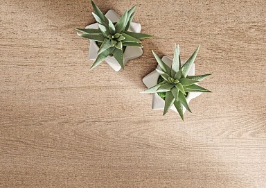 Керамогранит Imola Ceramica WCST 3012A RM Wood 1a4 30x120