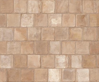 Керамогранит Imola Ceramica TCOT EMI18 20 20x20