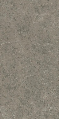 Керамогранит Atlas Concorde Italy AJIA Marvel Meraviglia Grigio Elegante Lapp. 120x240