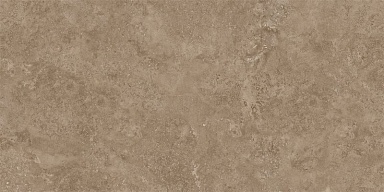 Керамогранит NT Ceramic NTTVL99959D Axion Feron Taupe 60x120