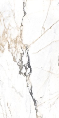 Керамогранит Alpas Euro Eco Marble 6582 Polished 60x120